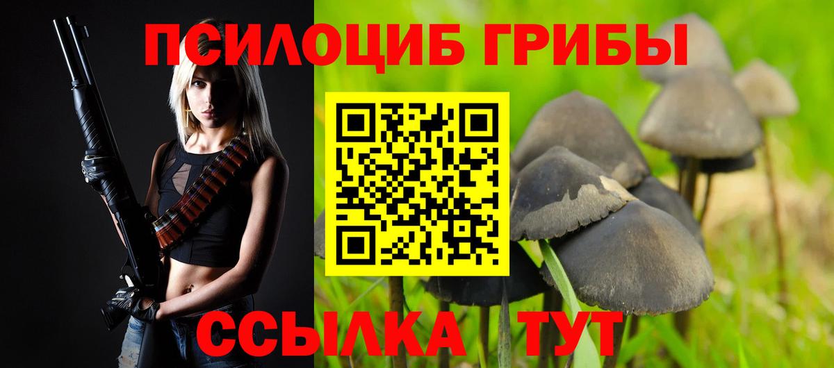 Псилоцибиновые грибы мухоморы  Вход с VPN  как найти наркотики  Псилоцибиновые грибы MAGIC MUSHROOMS  Радужный 